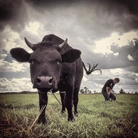 Превью 2014-03-19