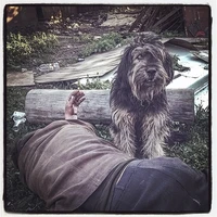 Превью 2014-05-17