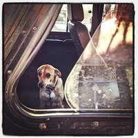 Превью 2014-05-19