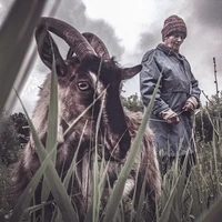 Превью 2014-06-13