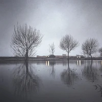 Превью 2015-02-24