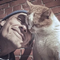 Превью 2015-03-31