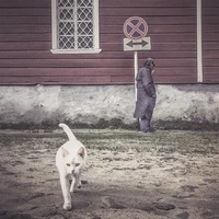 Превью 2015-05-01