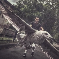 Превью 2015-07-12