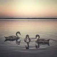 Превью 2015-08-15