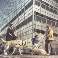 Превью 2015-09-15