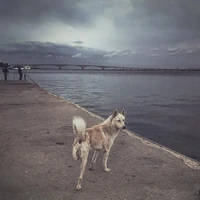 Превью 2015-10-11