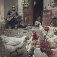 Превью 2015-10-13