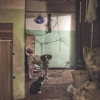 Превью 2015-12-01