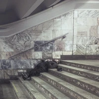 Превью 2015-12-07