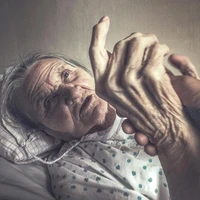 Превью 2015-12-16