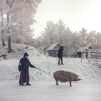 Превью 2016-01-07