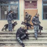 Превью 2016-03-31