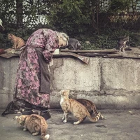 Превью 2016-05-02