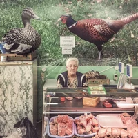 Превью 2016-06-16