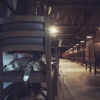 Превью 2016-10-24