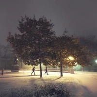 Превью 2016-11-03