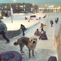 Превью 2016-12-26