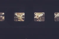 Превью 2017-01-29