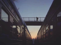 Превью 2017-01-30