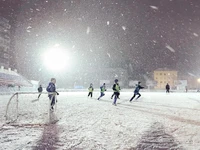 Превью 2017-01-31