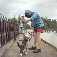 Превью 2017-07-20