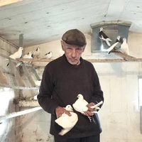 Превью 2017-07-21