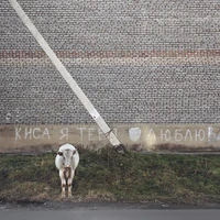 Превью 2017-10-17