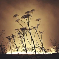 Превью 2018-01-03