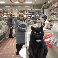 Превью 2018-01-05