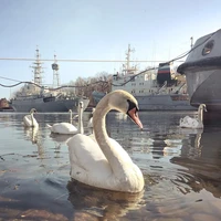 Превью 2018-04-07