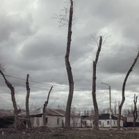 Превью 2018-04-22