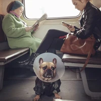 Превью 2018-04-26