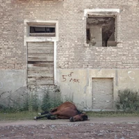 Превью 2018-08-15