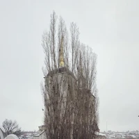 Превью 2018-12-12