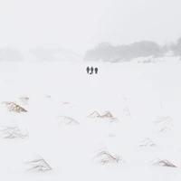 Превью 2019-01-17