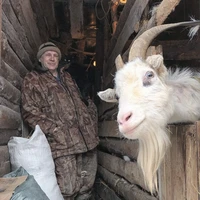 Превью 2019-02-14