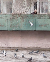 Превью 2019-02-27