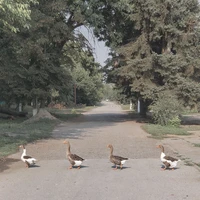 Превью 2019-08-20