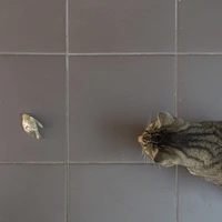 Превью 2019-09-27