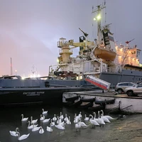 Превью 2019-10-10