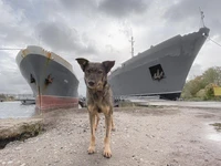 Превью 2019-10-11