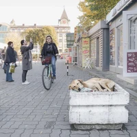 Превью 2019-10-15