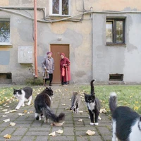 Превью 2019-10-16