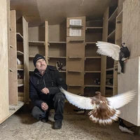 Превью 2020-02-07