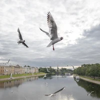 Превью 2020-06-30