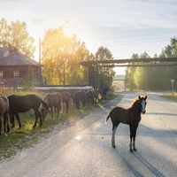 Превью 2020-09-14