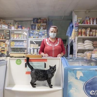 Превью 2020-10-02