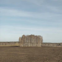 Превью 2020-10-08