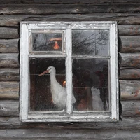 Превью 2021-01-27